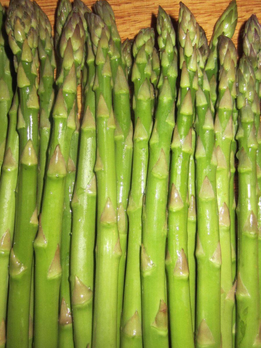 asparaguslineup (900x1200)