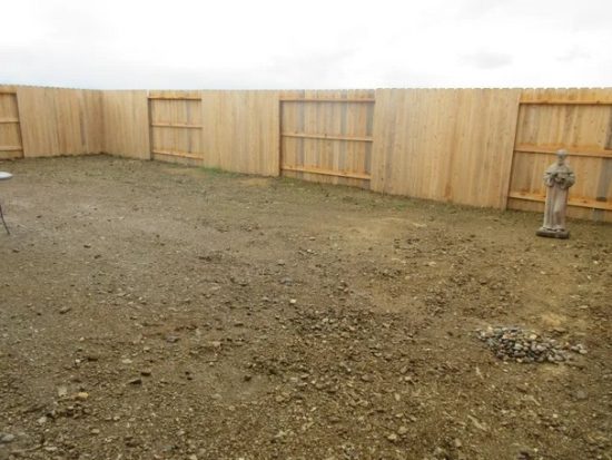 48' x 40' A Bear of a Bare Backyard