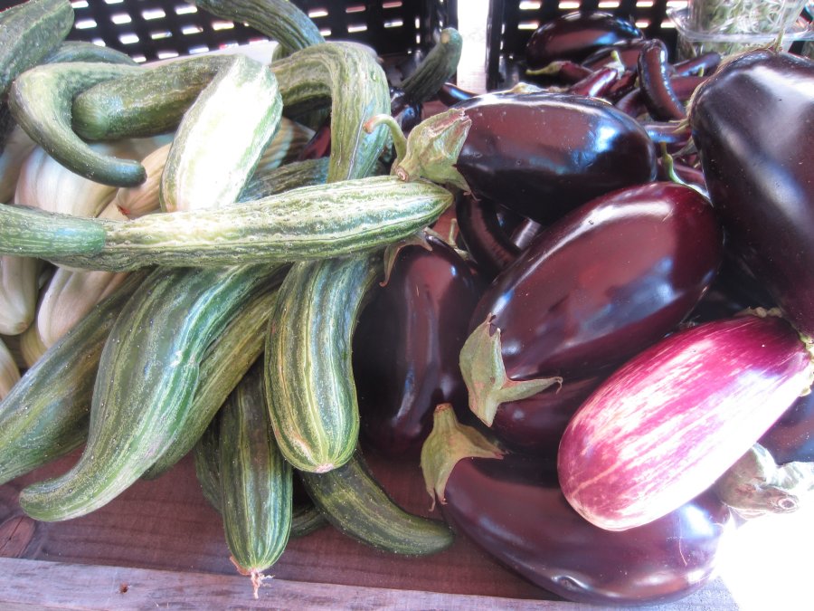Eggplant and Cucumbers at the Farmer's Market