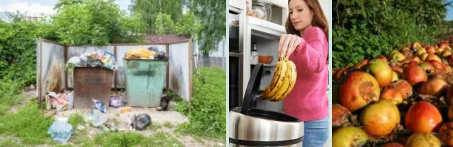 Your Turn to End Food Waste