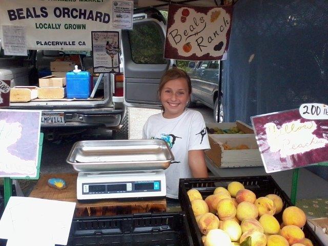 Farmers Market Helper