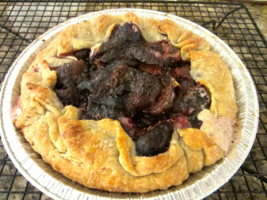 fig crostata (900x675)