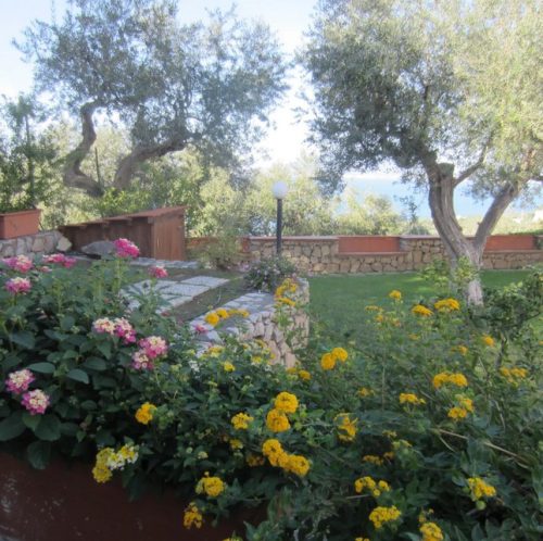The farm is a replica of grandma Vigliano’s love of flowers.