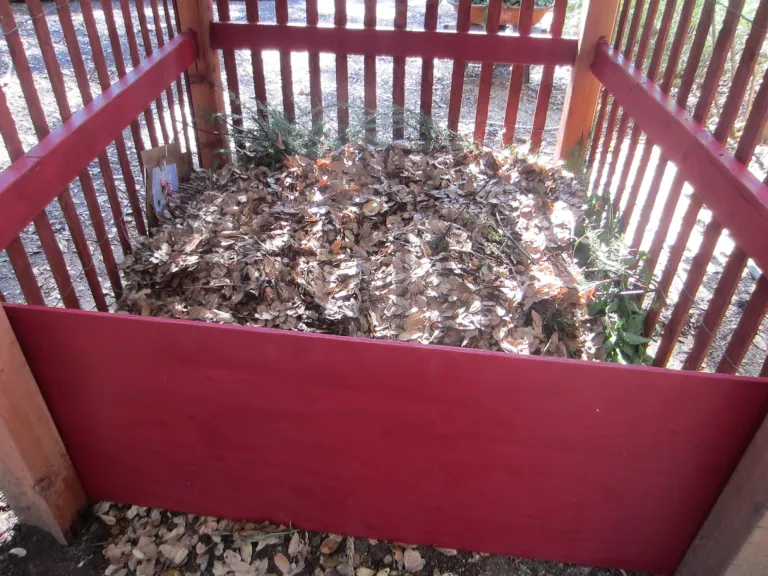 front bd in bin (768x576)