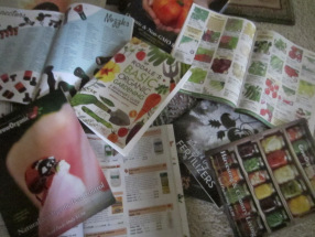gardening mags (286x215)