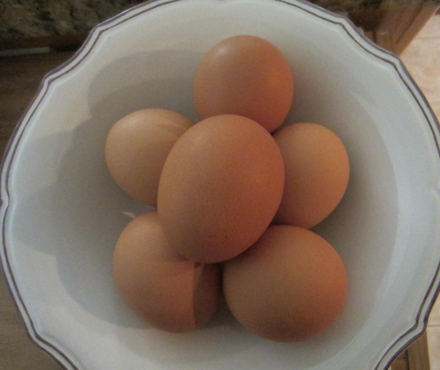 hardboiledeggrecipe 1 (900x757)