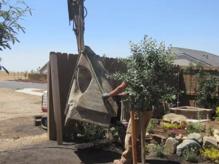 Into the fence opening