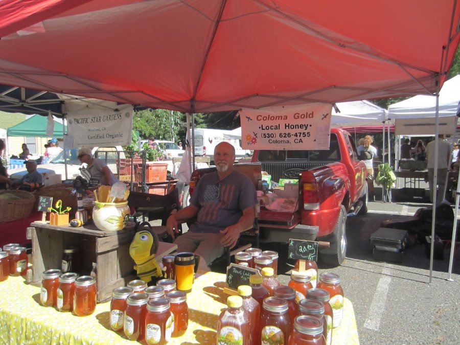 Coloma Gold Local Honey at the Farmer's Market