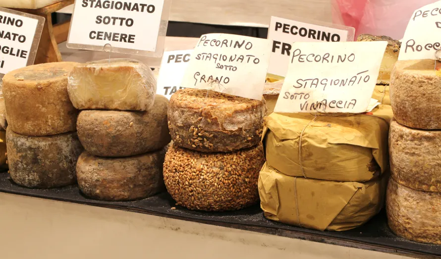many types of pecorino cheese 157898486 1 (890x523)