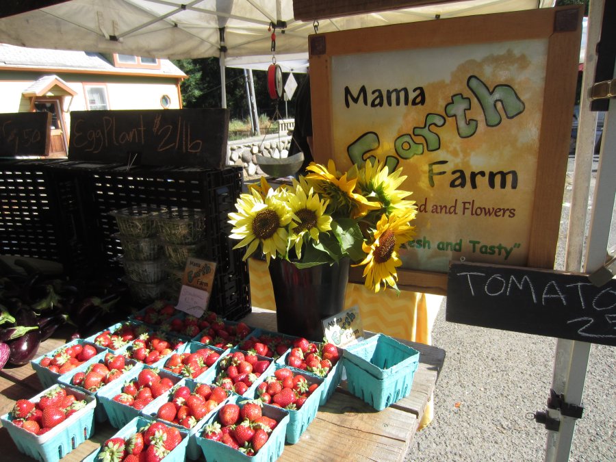 pville f mkt tomatoes  (900x675)