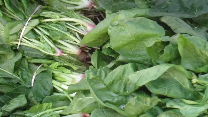 Spinach Bunches