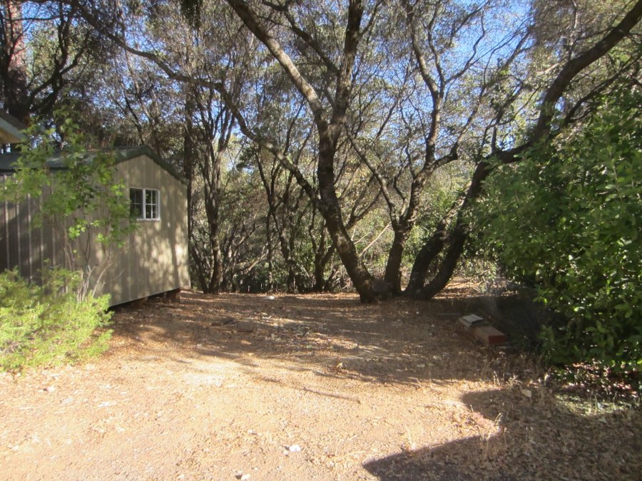 spotmostlyshade (900x675)