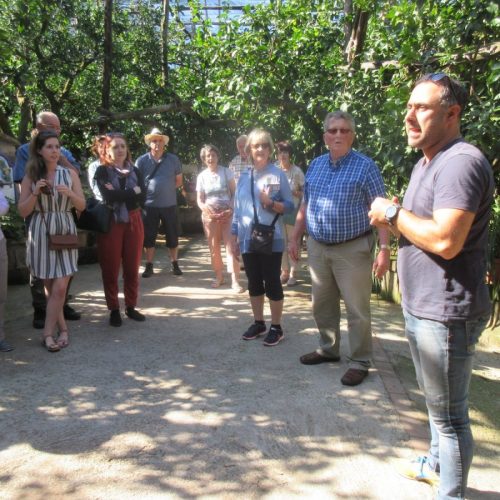 Luigi describes grafting process to farm guests.