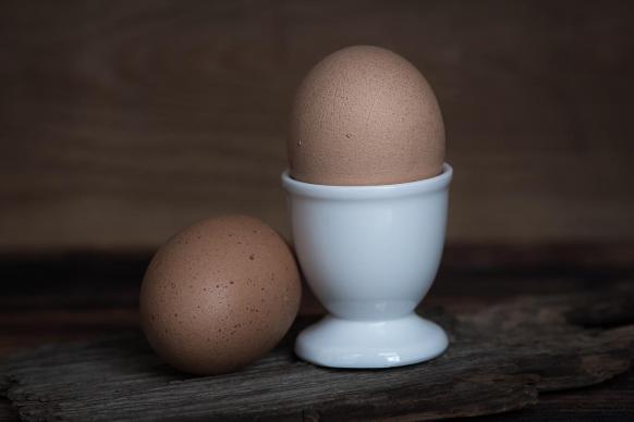 egg-1374141_1280