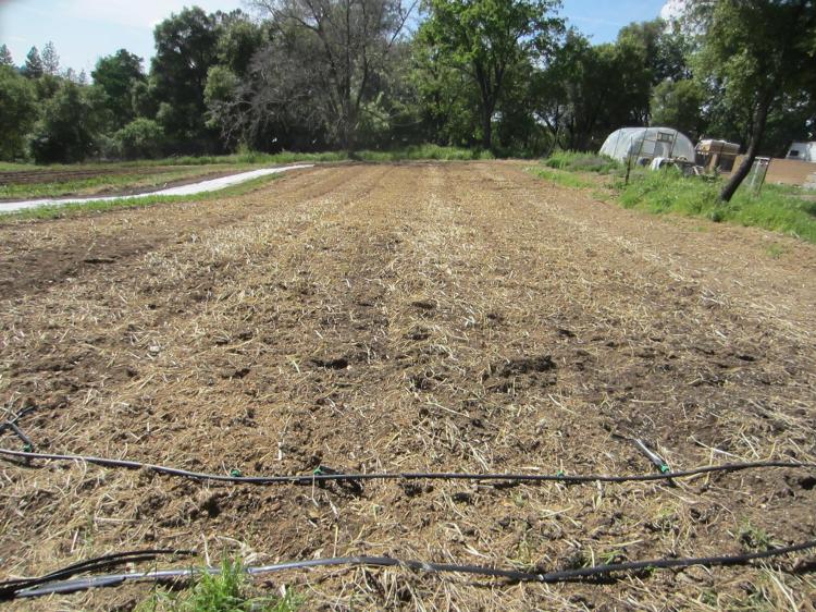 PlowedField_FullMoon