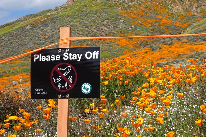 original_open-uri20190318-10899-78j7ht